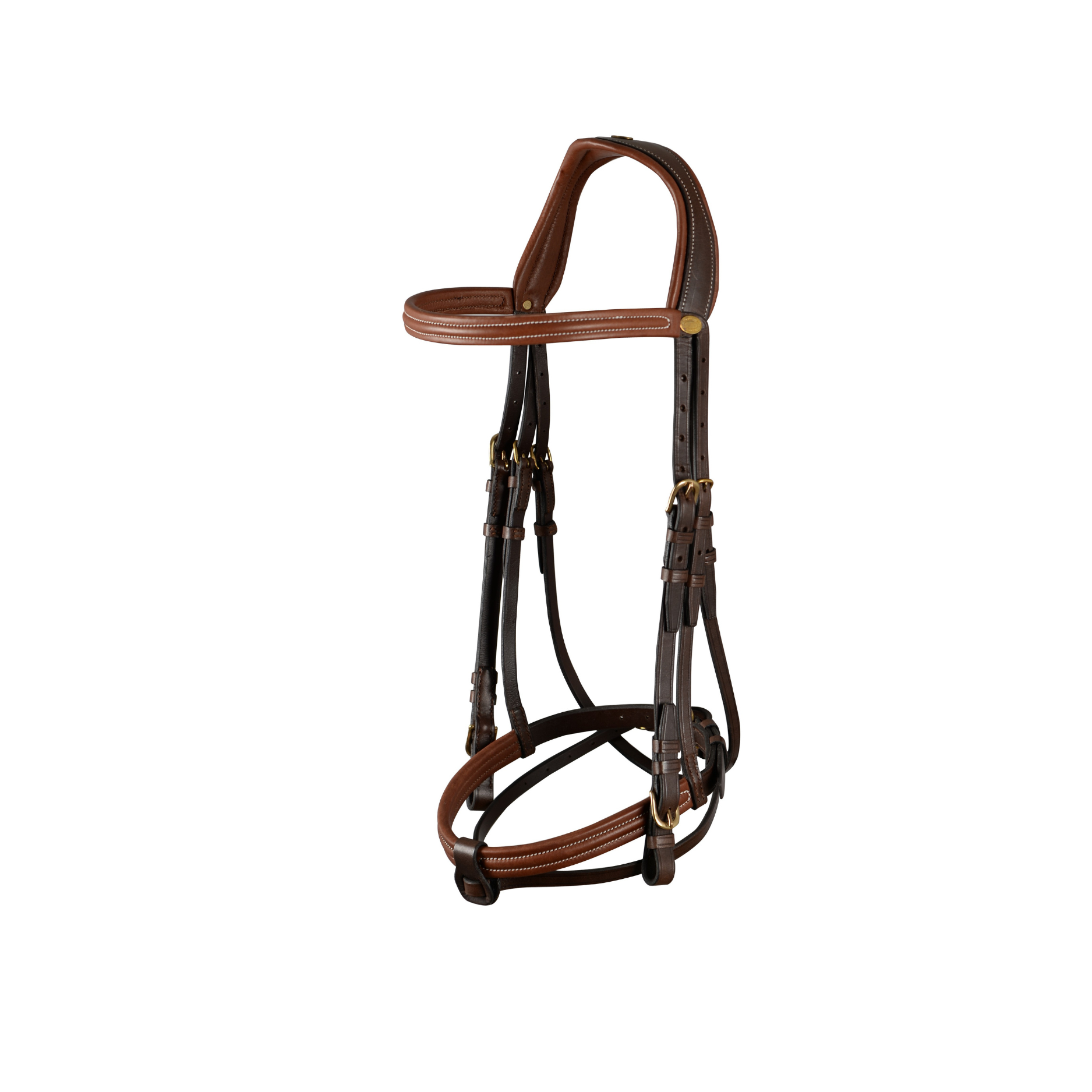 Ergonomic bridle