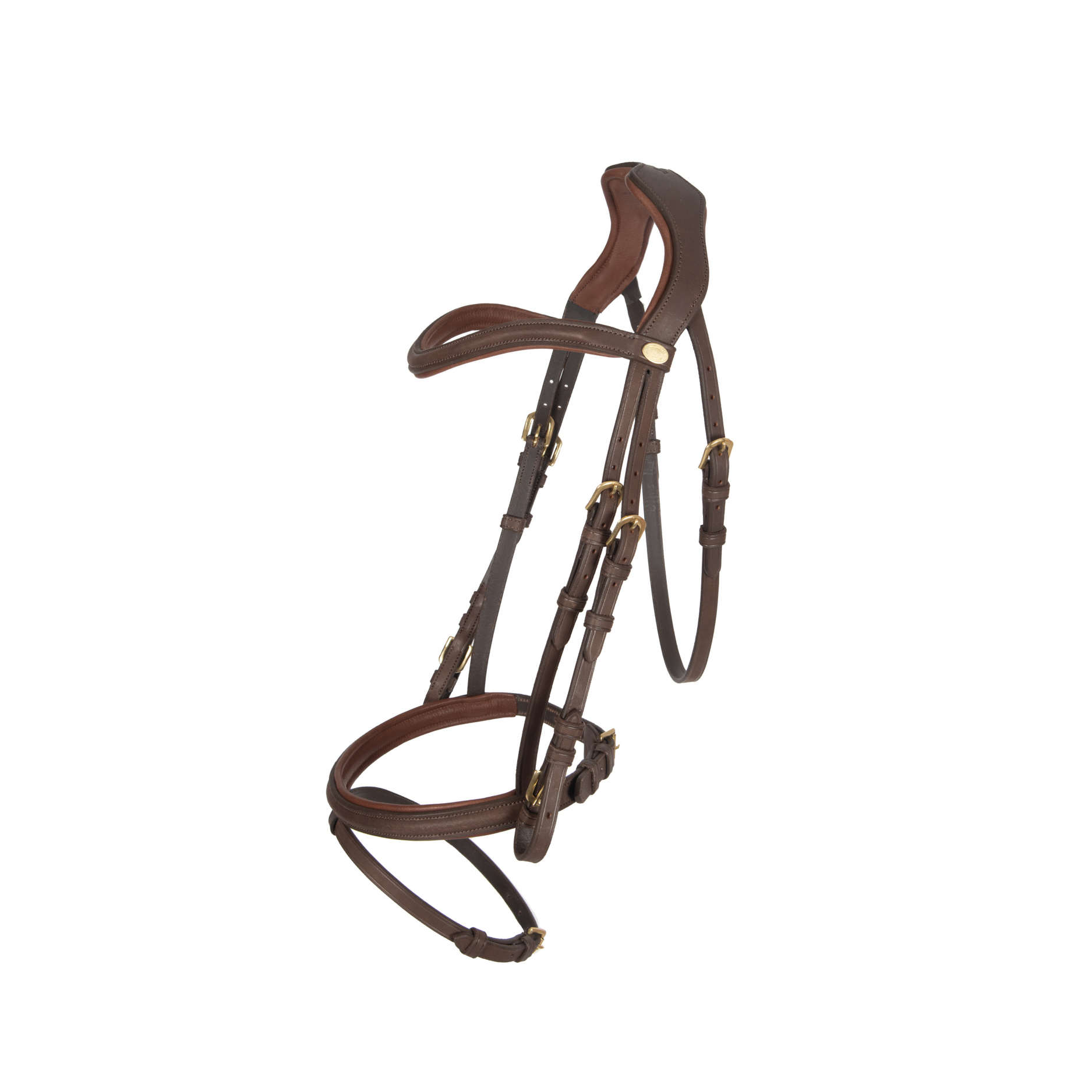 Comfort bridle