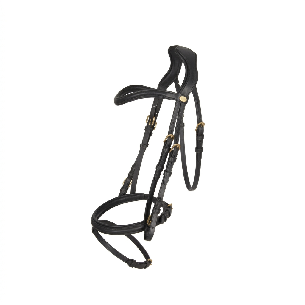 Comfort bridle