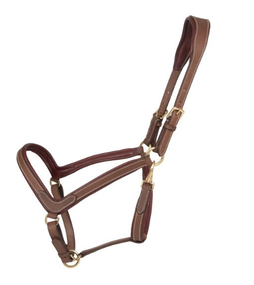 licol marron